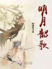 明月韶歌封面