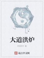 大道洪炉封面