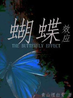 蝴蝶效应封面
