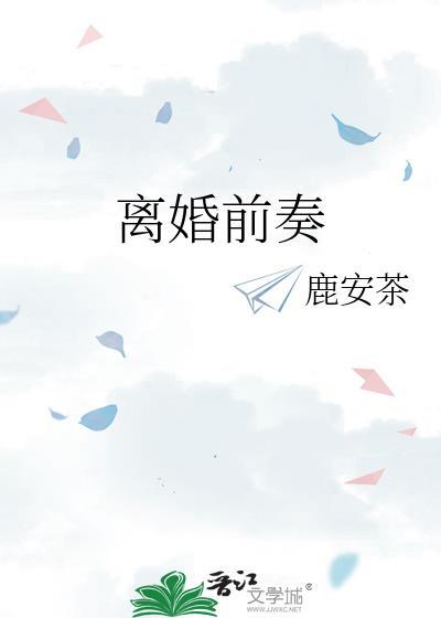 离婚前奏封面