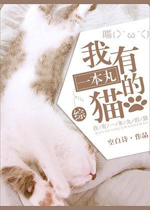 我有一本丸的猫[综]封面