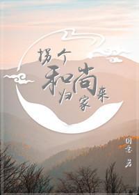 拐个和尚归家来封面