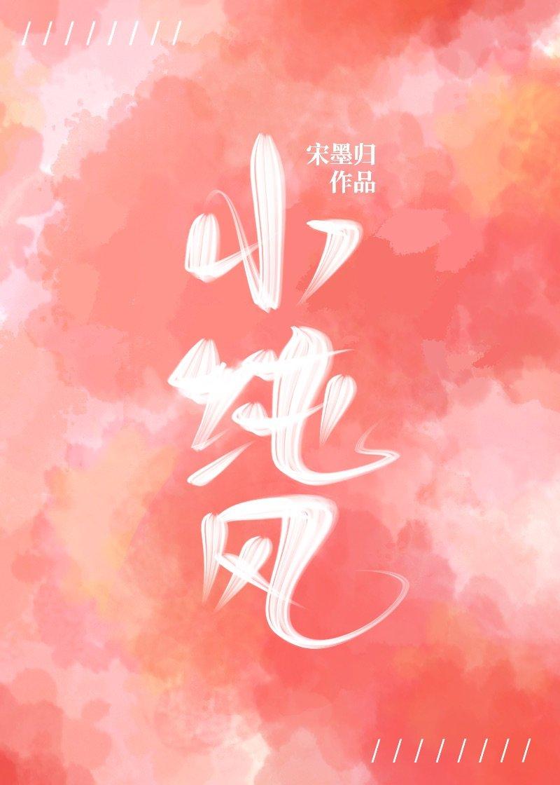 小纯风封面