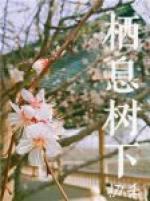 栖息树下封面