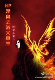 HP涅槃之浴火重生封面