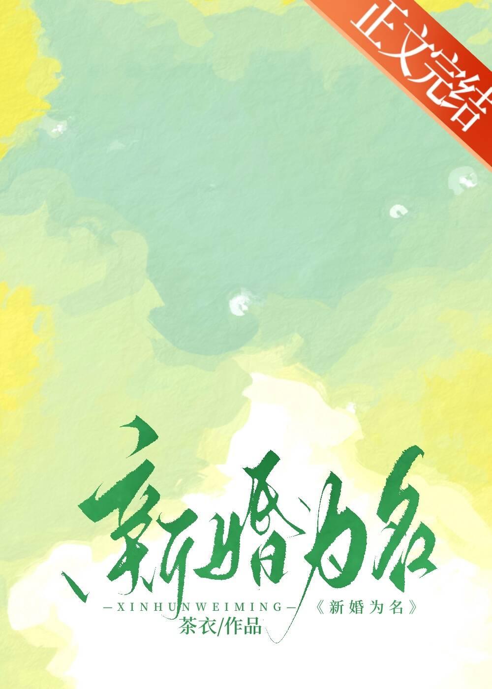 新婚为名封面