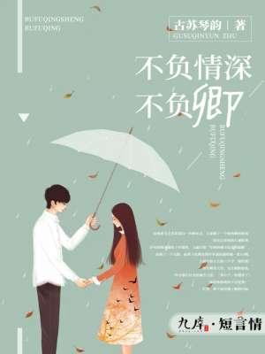 不负情深不负卿封面