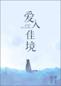 爱入佳境封面