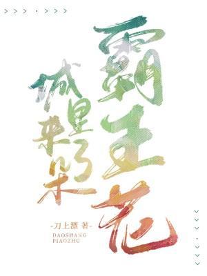 城裏来了朵霸王花封面