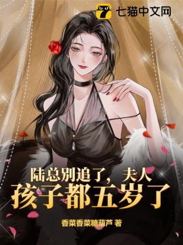 陆总别追了，夫人孩子都五岁了封面