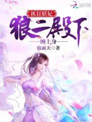 抓狂妖妃:狼二殿下缠上身封面