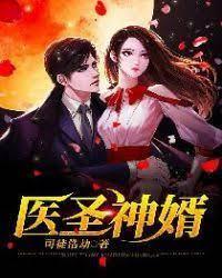 医圣神婿封面