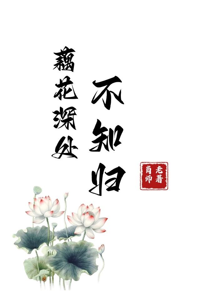 藕花深处不知归封面