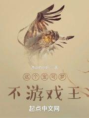 这个宝可梦不游戏王封面