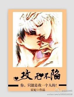 攻无不陷封面