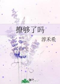撩够了吗封面