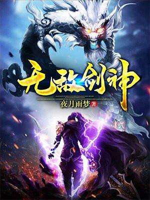 无敌剑神封面
