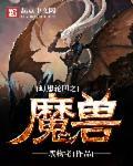 幻想轮回之魔兽封面