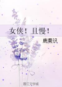 女侠！且慢！封面