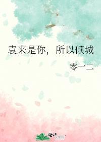 袁来是你，所以倾城封面