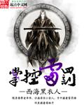 掌控雷罚封面