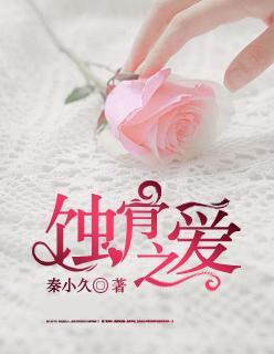 蚀骨之爱封面