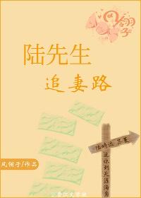 陆先生追妻路封面