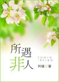 所遇非人封面