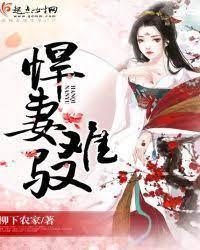 悍妻难驭封面