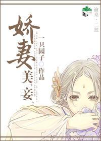 娇妻美“妾”封面