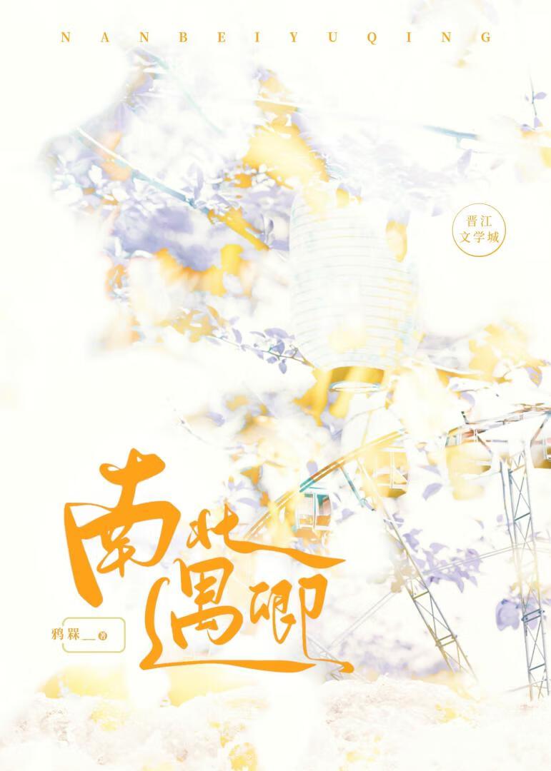 南北遇卿封面