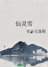 仙灵雪封面