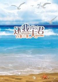 [综]还我夫君封面