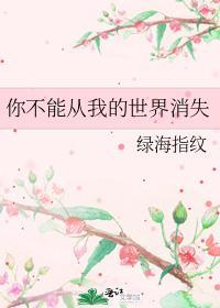 你不能从我的世界消失封面