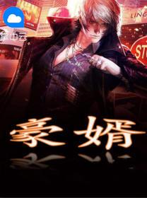 医婿叶凡封面
