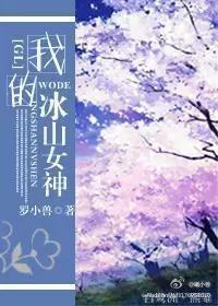 我的冰山女神封面