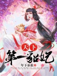 天下第一貂妃封面
