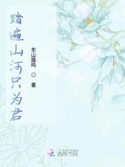 踏遍山河只为君封面