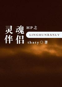 hp之灵魂伴侣封面
