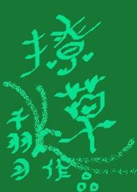 撩草封面