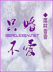 只婚不爱封面