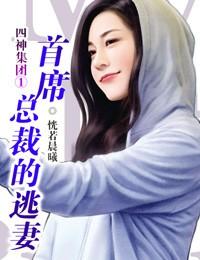 小妈咪:首席总裁的逃妻封面