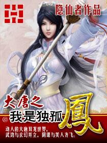大唐之我是独孤凤封面