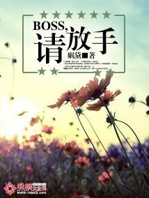 BOSS,请放手!封面
