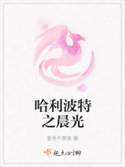 哈利波特之晨光封面