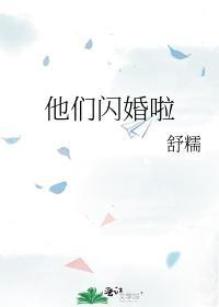 他们闪婚啦封面
