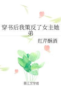 穿书后我策反了女主她弟封面