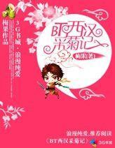 BT西汉采菊记封面