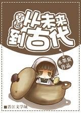 穿越从未来到古代封面