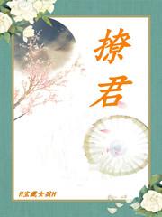 撩君封面